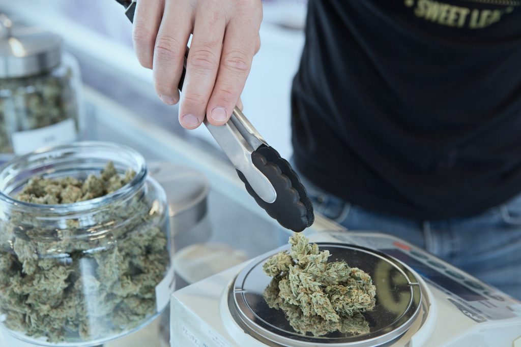 man picking medical marijuana with tongs